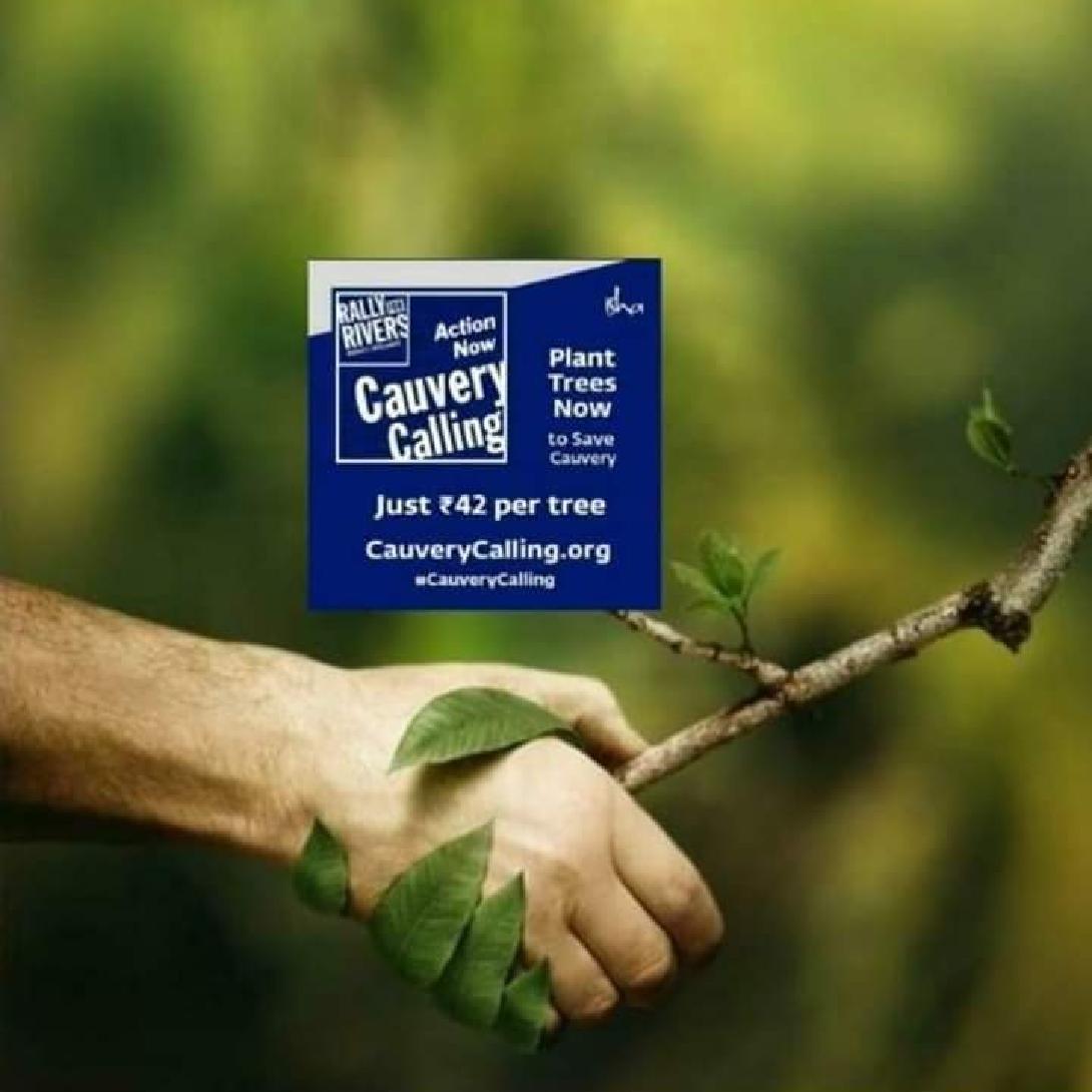 Cauvery Calling Hits 13.4 Crore Trees: The 2026-27 Mission Begins