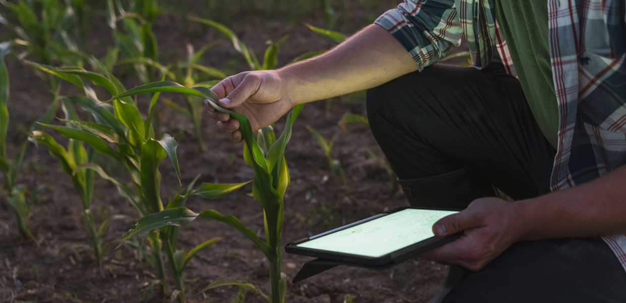 The "Uber" of Farming: How Equipment Sharing Empowers Smallholders