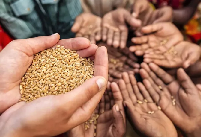 ORF India’s Food Security: Precision Ag & Advisory Models