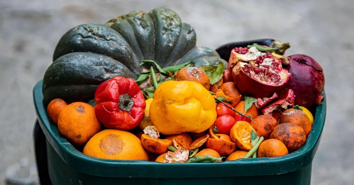 No Fridge? This Smart Tech Keeps Veggies Fresh 3x Longer Without Electricity