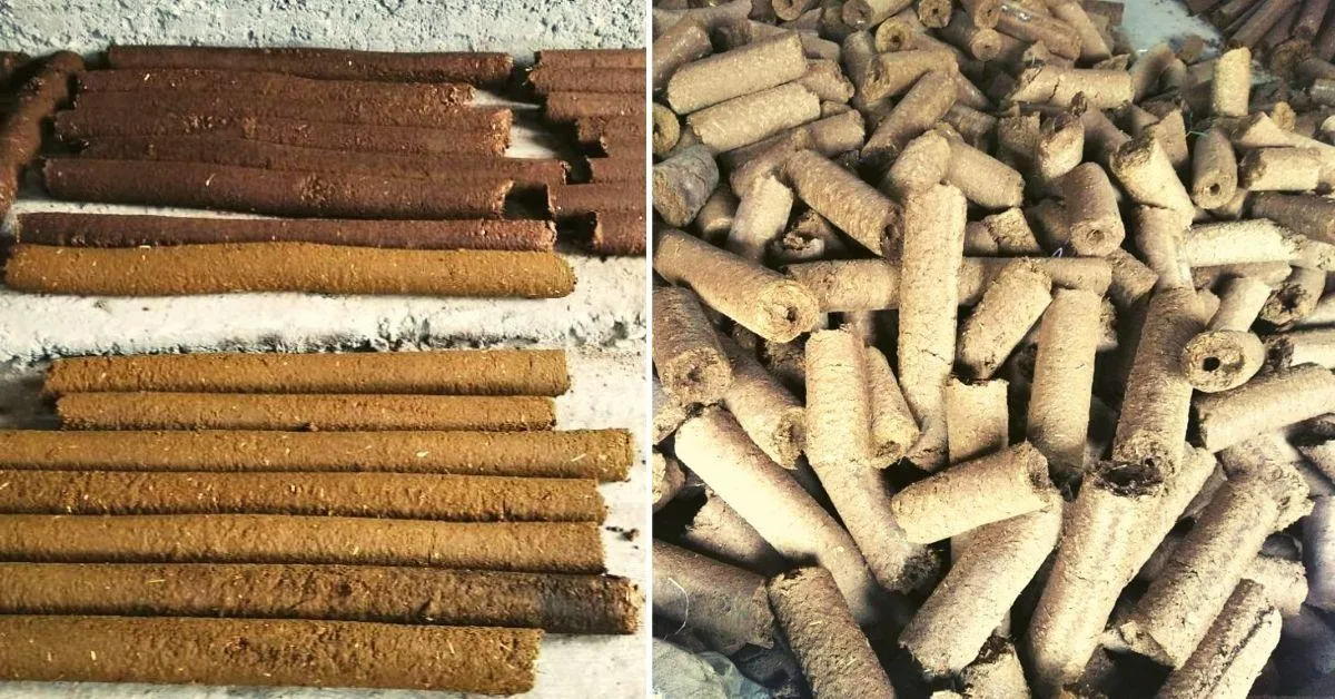 Turning Waste to Wealth: The Machine Converting Cow Dung Into Wood Logs