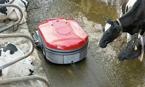 Cow Dung Cleaning Robot: Smart Solution for Dairy Farms