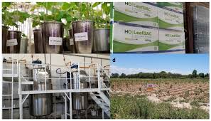 Innovations in Agricultural Bio-Inputs: Commercial Products in Argentina &amp; Brazil