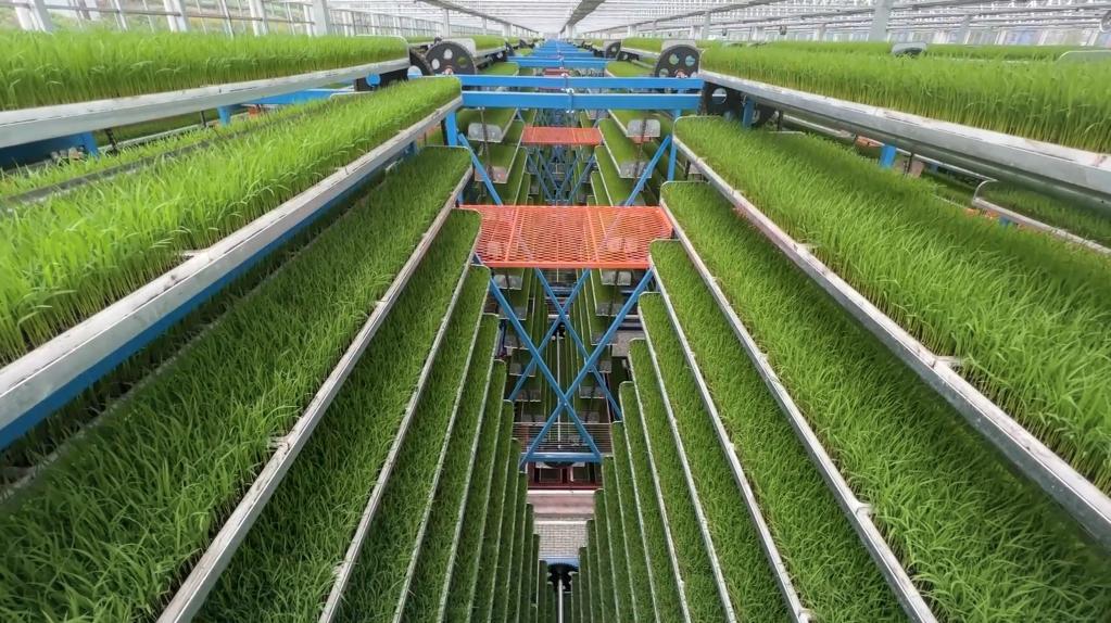 Intelligent Vertical Seedling Rearing Machine: Smart Farming
