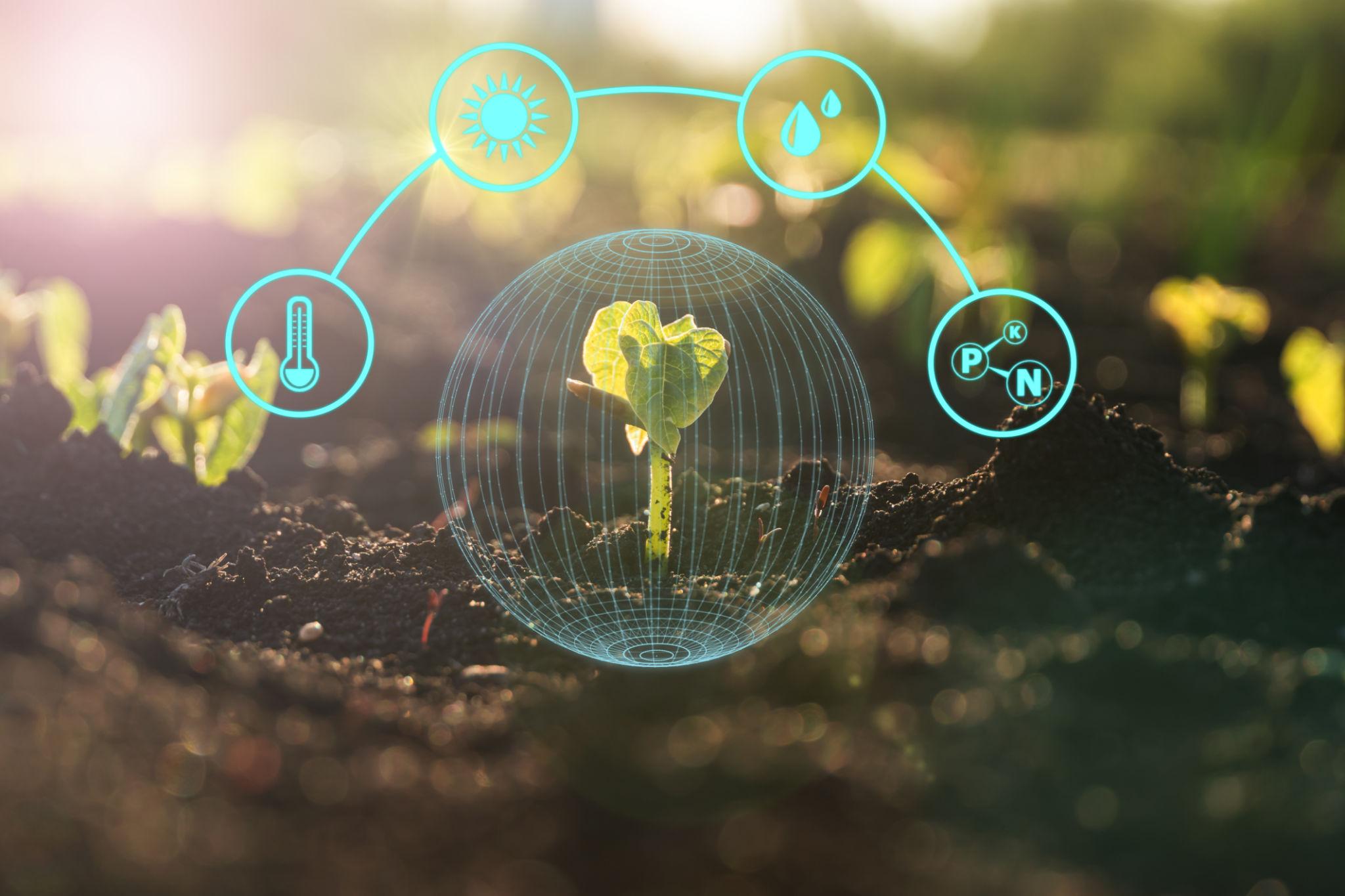 AI-Powered Monitoring Systems: Smart Farming Technology
