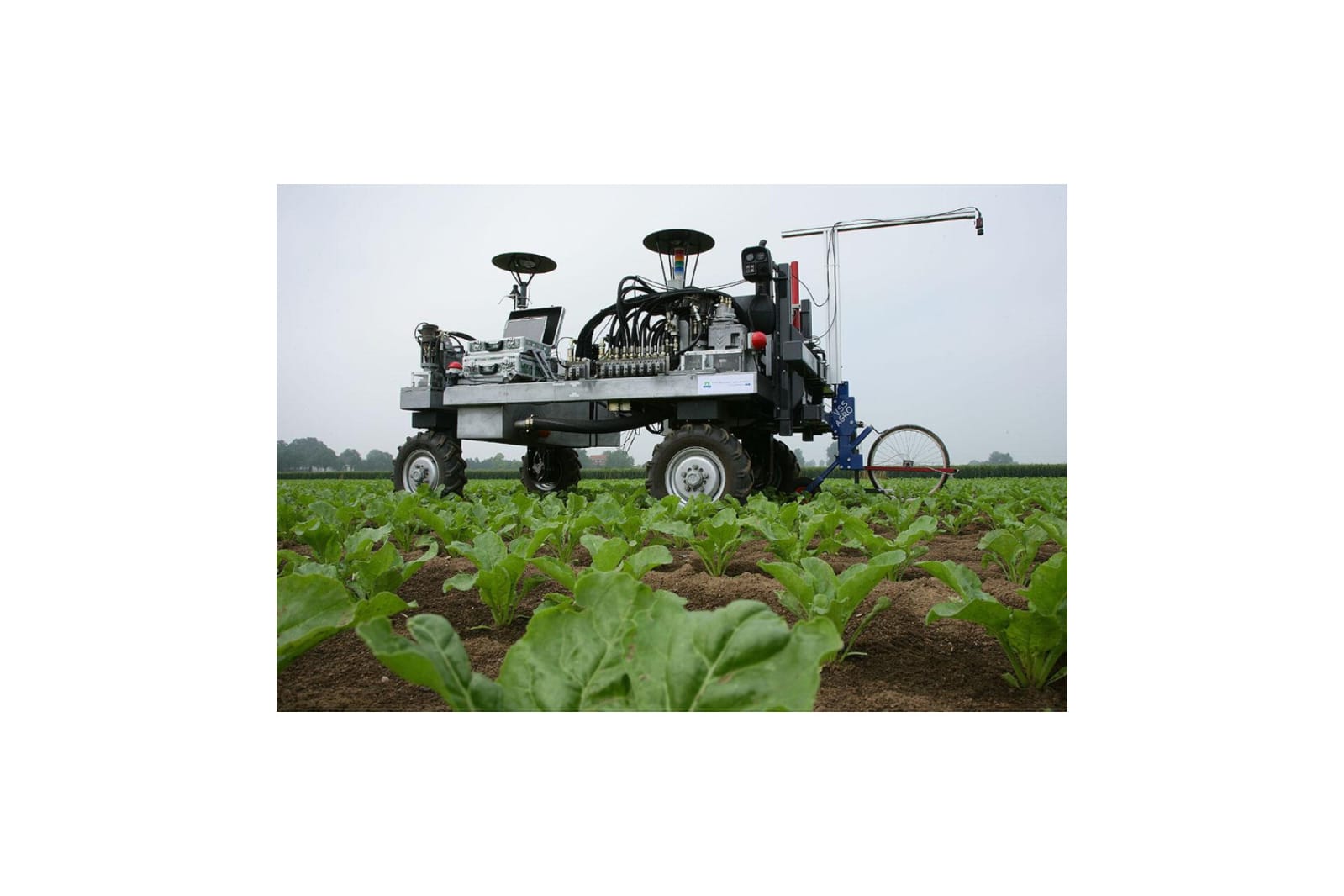 AI Weeding Robot: The Future of Sustainable Fields