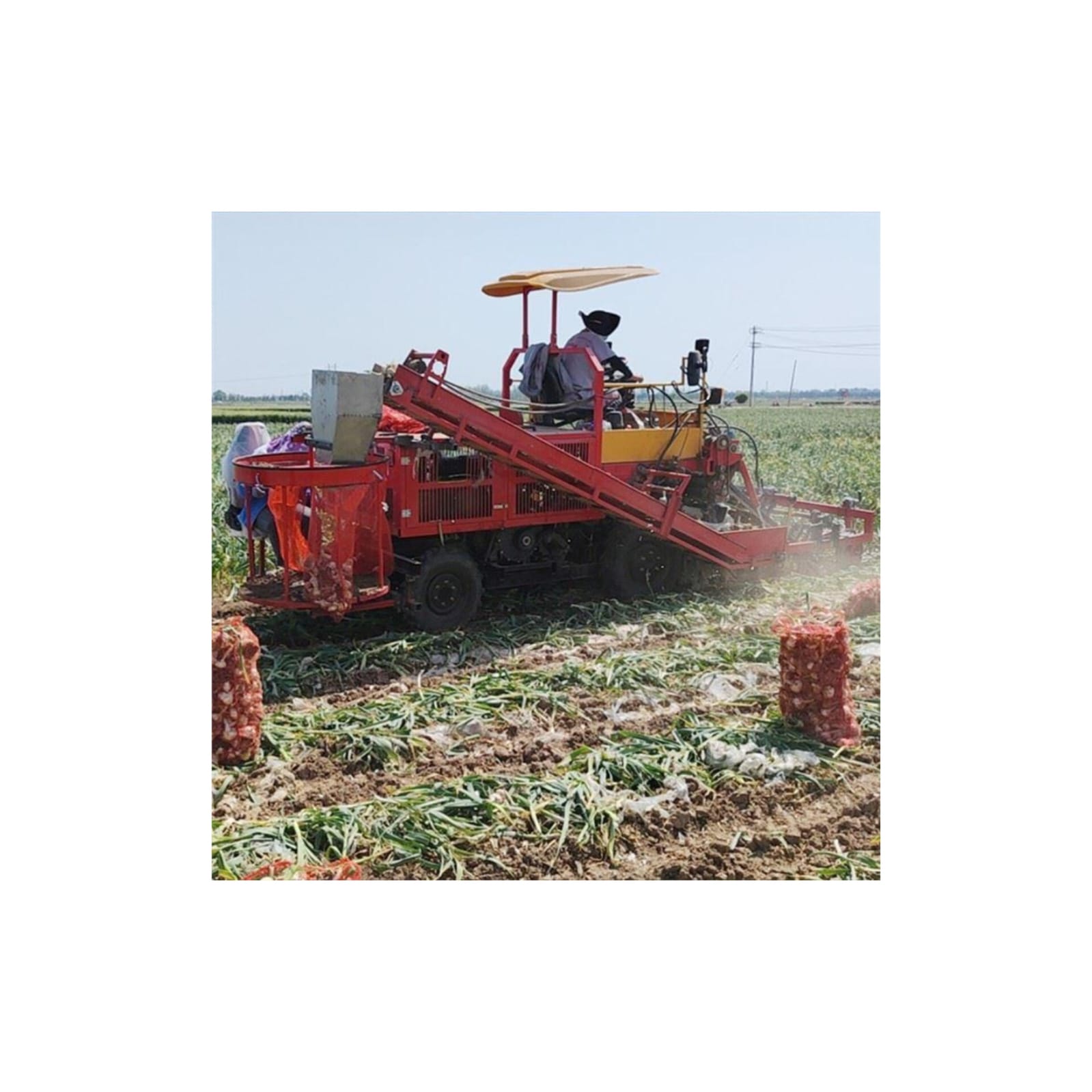 Bulb Crop Harvester: Efficient Onion &amp; Garlic Harvesting