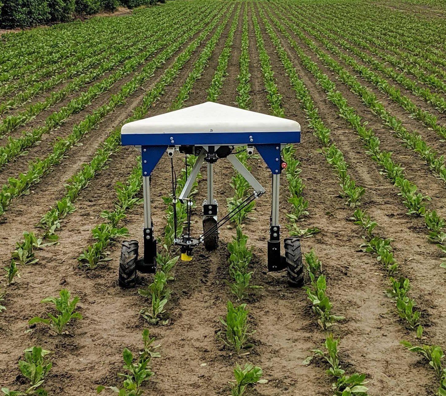 AI Weeding Robot: Revolutionizing Agricultural Weed Control