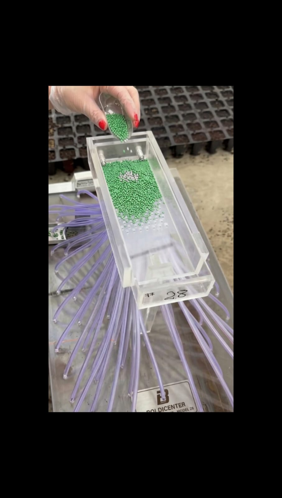 The Simple Acrylic Tool Transforming Seedling Prep for Small Farms