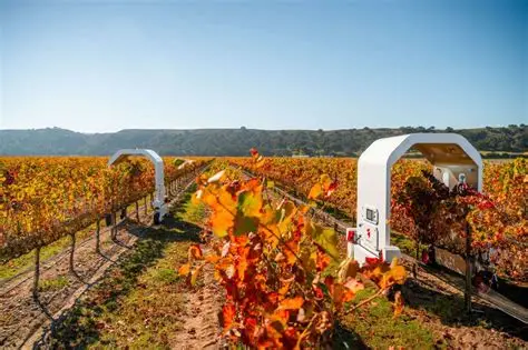 Farming with Light: The Night-Crawling Robots Replacing Vineyard Chemicals