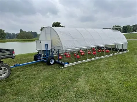 Why a Mobile Chicken Coop is the Ultimate Backyard Farming Upgrade