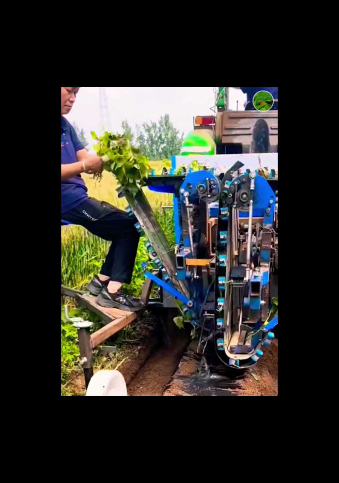 All-in-One Mechanical Transplanters &amp; Plastic Mulch Layers
