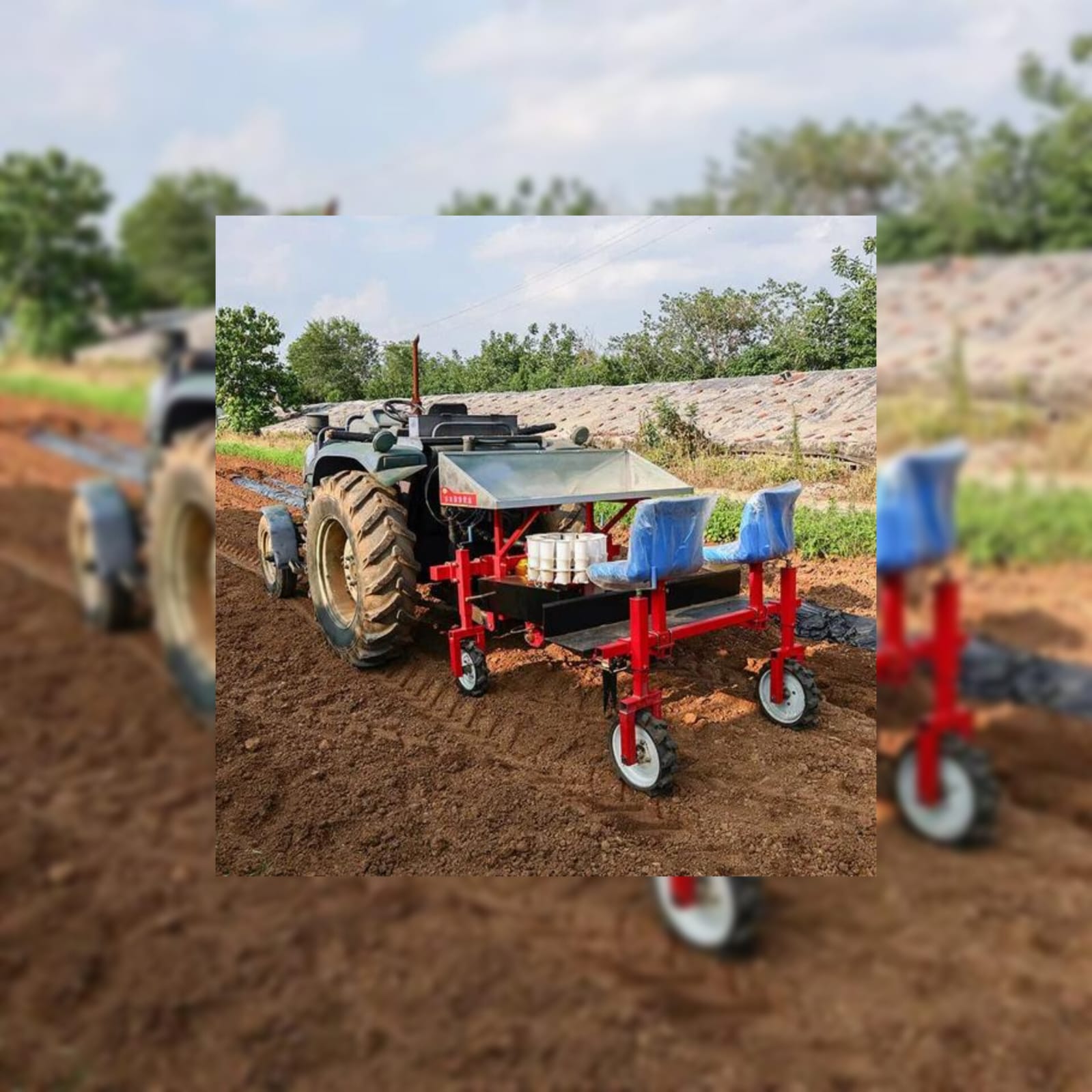 Holland Transplanter: Efficient Seedling Planting Guide