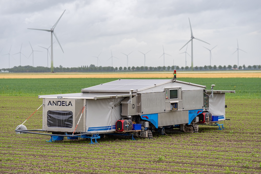 Sparks, Not Sprays: How Andela's Electro Weeder Protects Onion Crops