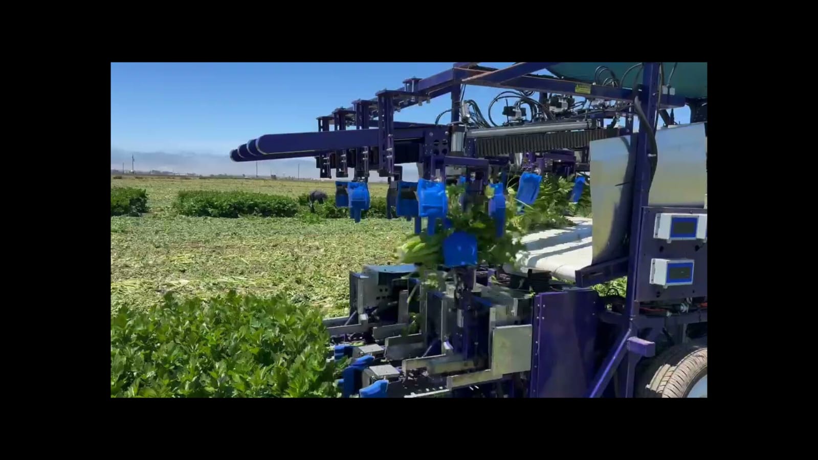 The Mind in the Machine: How AI Robotic Harvesters Work