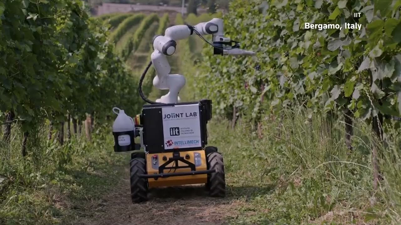 How AI &amp; Machine Learning Robots Are Revolutionizing Vineyards