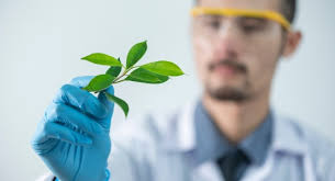 Agrizel: The Ultimate Agri-Tech E-Commerce Mobile App Solution