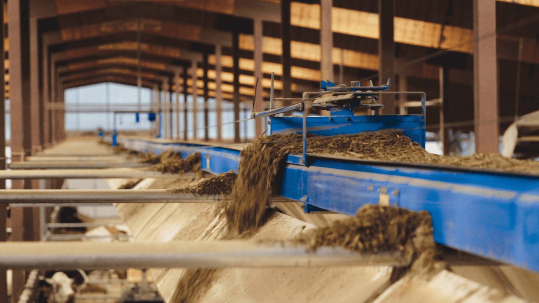 Guide to Belt Plow Feeders: Simple Bulk Material Diversion