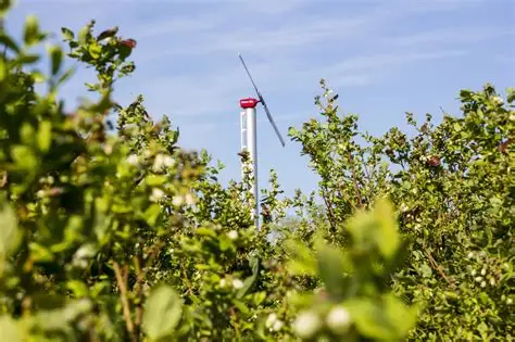 How Orchard Wind Machines Protect Crops From Frost Damage