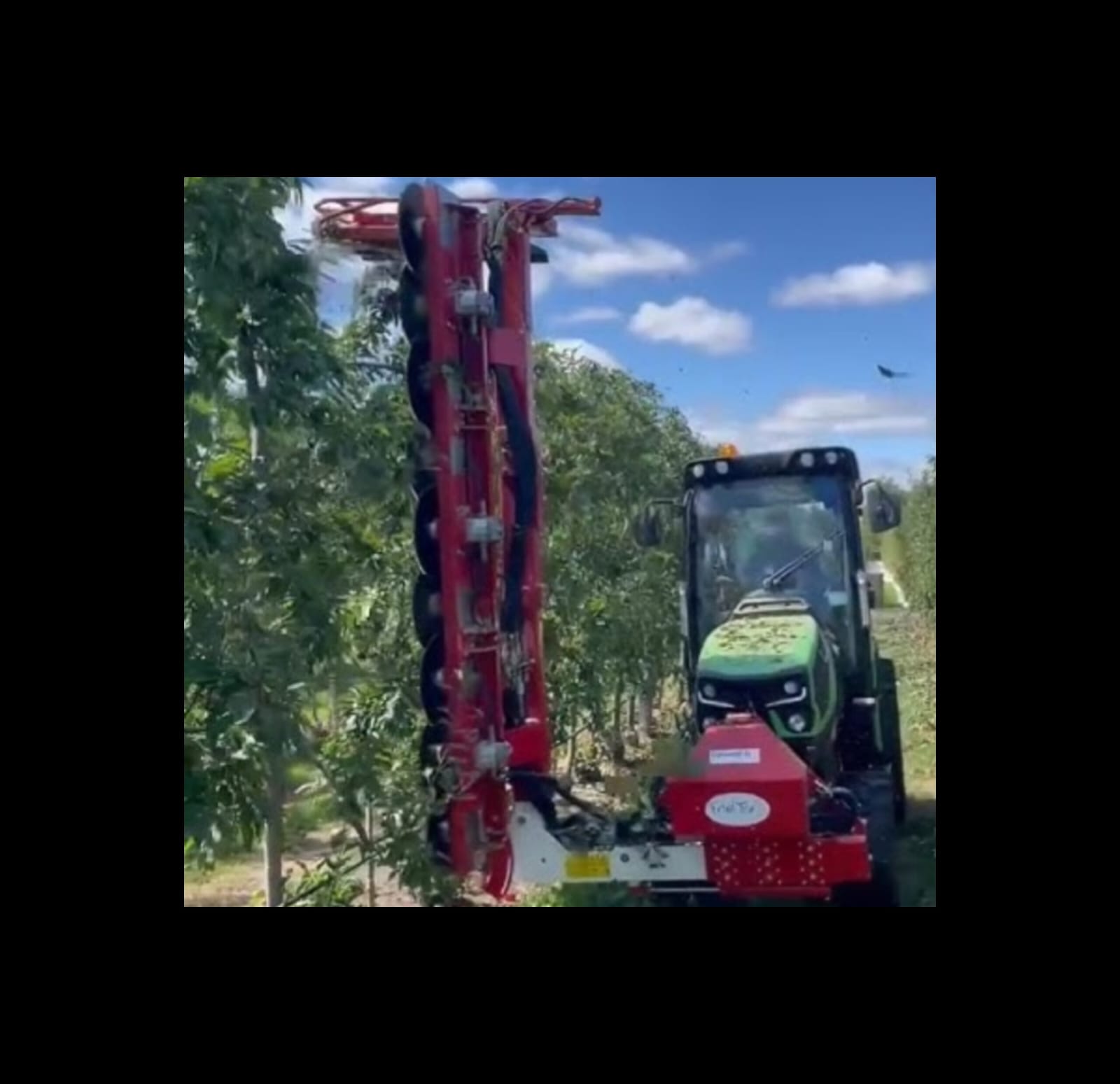 Fruit Tec EDWARD 300 Pruner: Revolutionizing Orchard Management