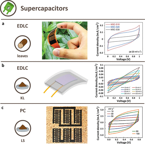 Edible Laser-Induced Graphene Soil Tags: Smart Agri-Sensing