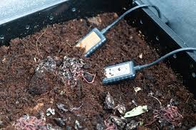 Worms at Work: How Vermicomposting Boosts Soil &amp; Yields