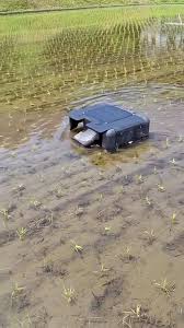 AI Paddy Weeding Robot: Smart Rice Farming Guide