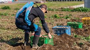 Agricultural Exoskeleton Suit: Smart Support for Farmers