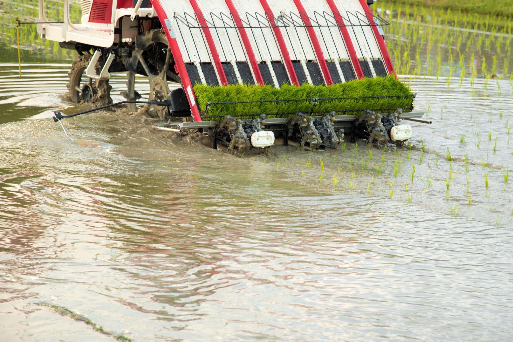 Autonomous Rice Transplanter: Smart Paddy Planting Guide