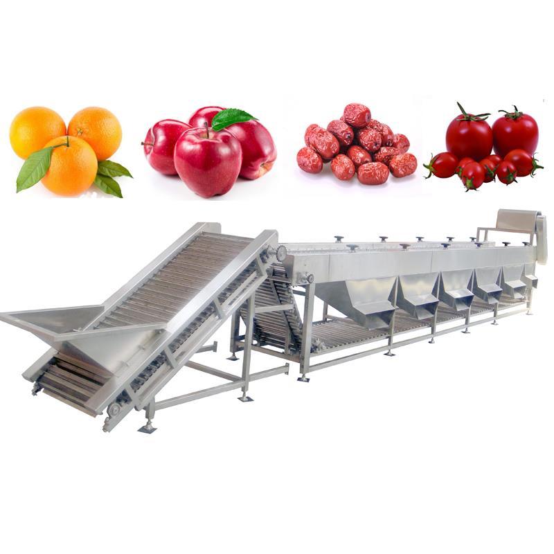 Robotic Fruit Sorting Machine: Intelligent Grading Guide