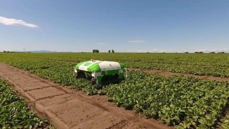 AI Crop Monitoring System: Intelligent Field Surveillance