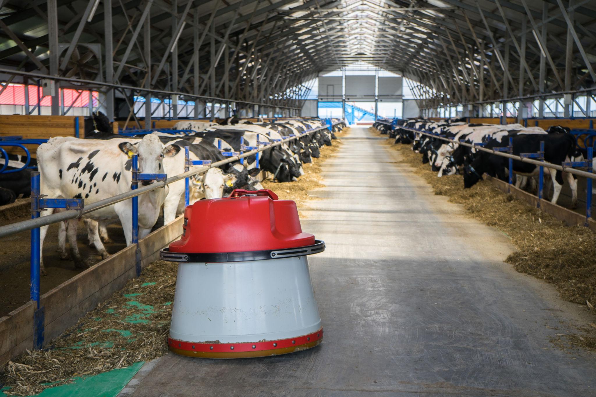 Automated Feed Pushing Robot: Smart Dairy Feed Management