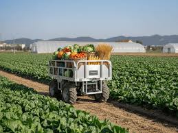 Autonomous Farm Transport Robot: Smart Logistics Guide