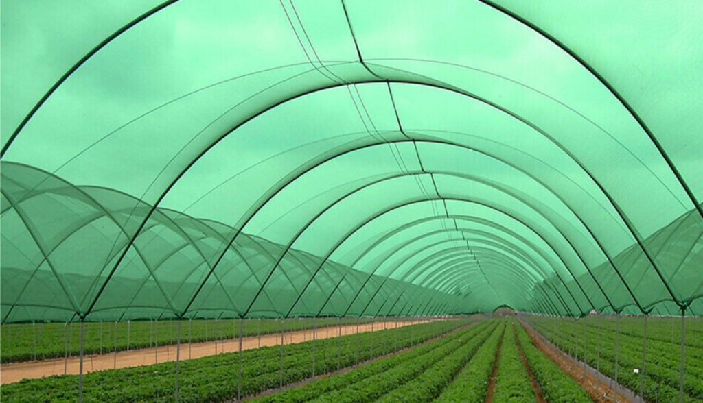 GrowIt on Shark Tank India: The Protective Farming Revolution