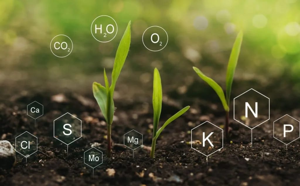 Reshaping Crop Nutrition: Navratna Crop Agritech Solutions