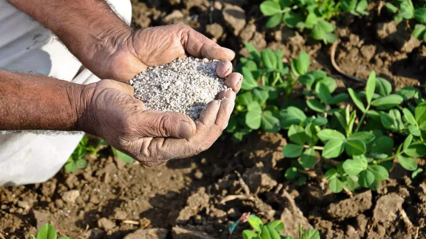 How Healventure Agritech is Leading the Charge for Chemical-Free Farming