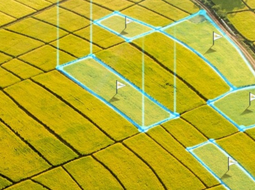 How StampIT Agritech is Digitalizing Farm Management