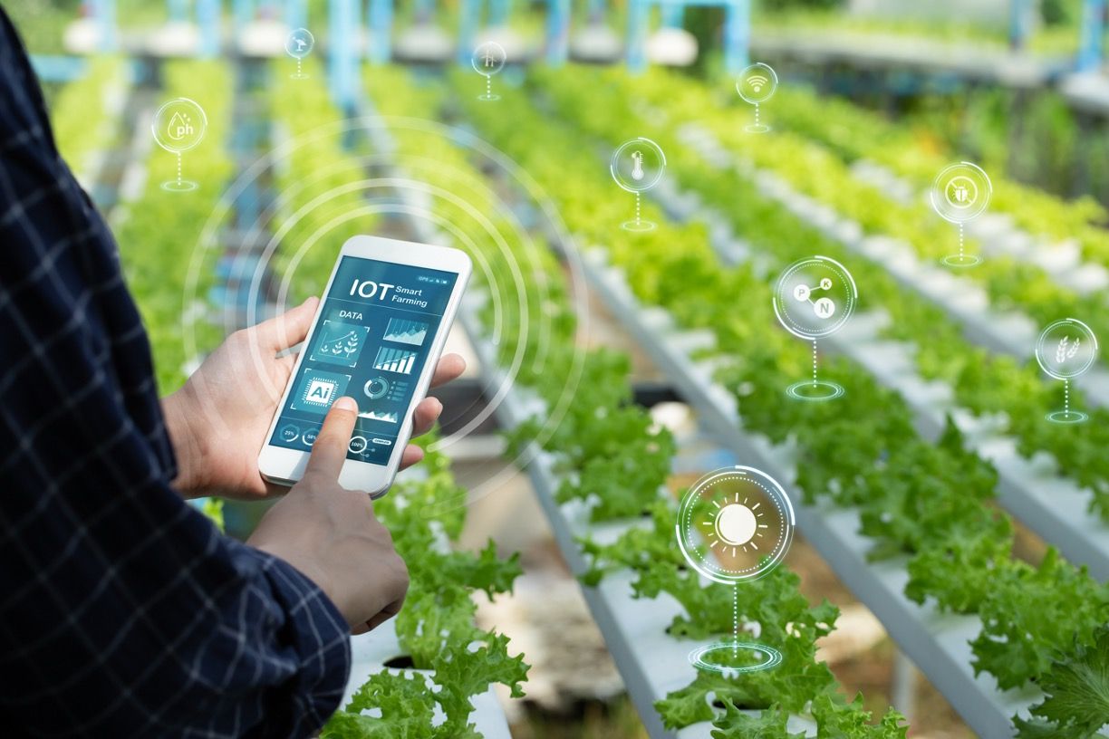 How 4CLIMATE is Building Weather-Proof, Intelligent Agriculture