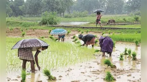 Storm Clouds Over Kharif 2026: The Triple Threat Facing Indian Farmers