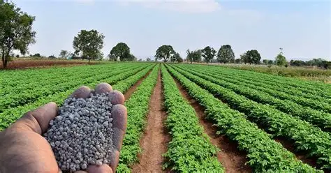 Fact vs. Panic: The Truth Behind India’s Fertiliser Stocks