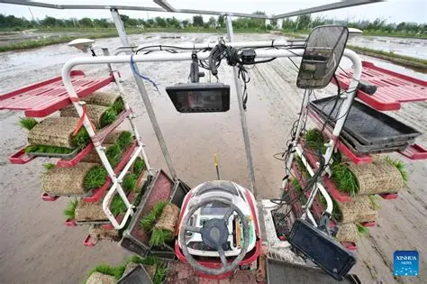 The Dawn of Unmanned Fields: How Rice-Planting Robots Revolutionize AgTech