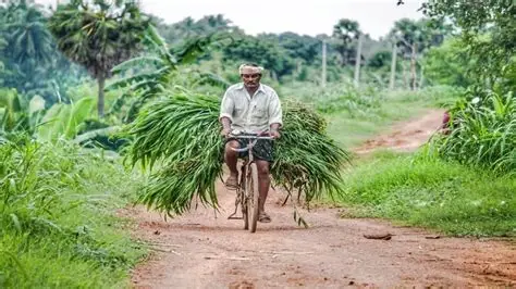 The Trust Network: How Arya.ag Became India’s Largest Profitable Agritech Platform