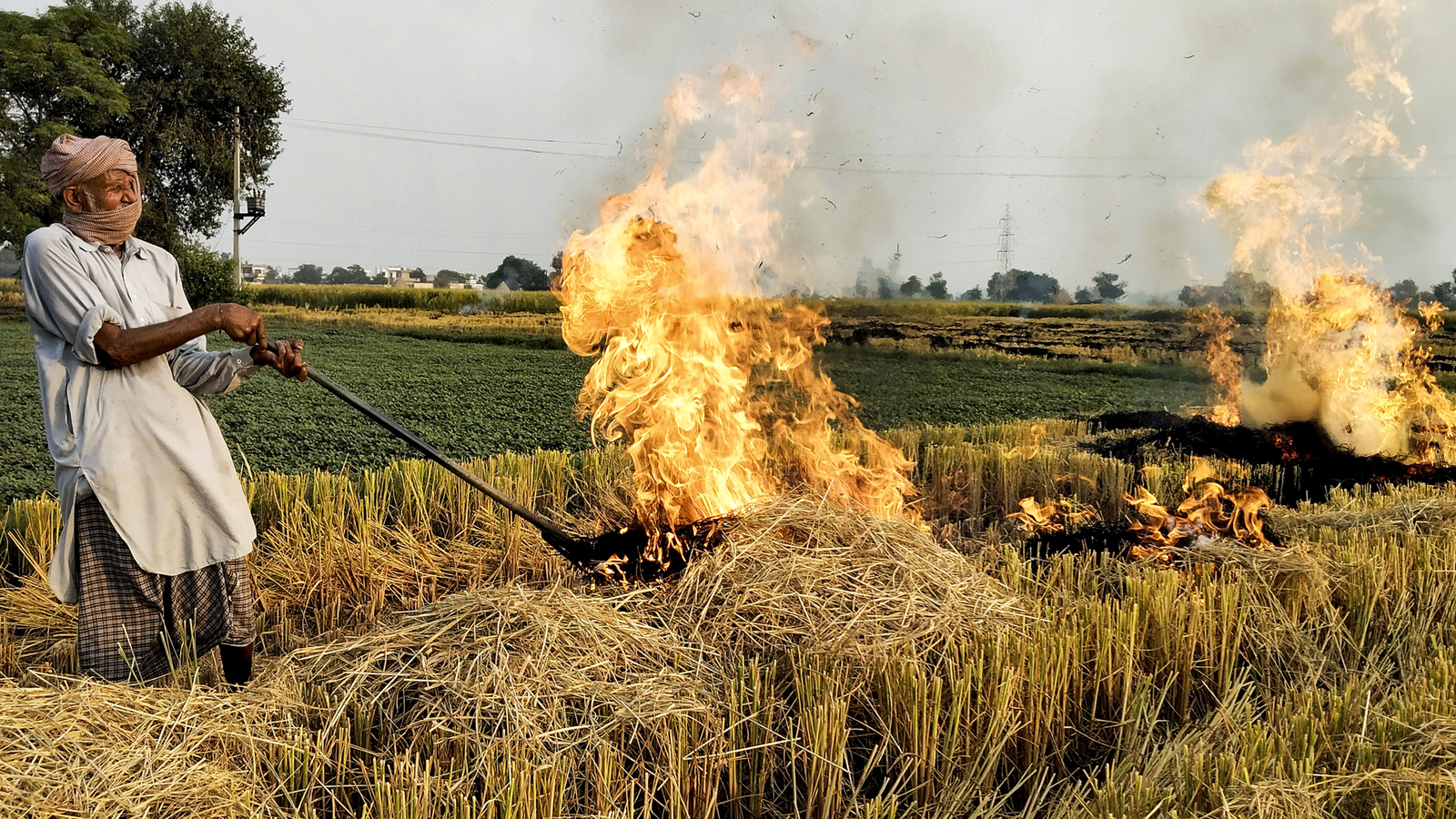 Out of the Smoke: How Two Bengaluru Friends are Turning India's Stubble Crisis into Cash