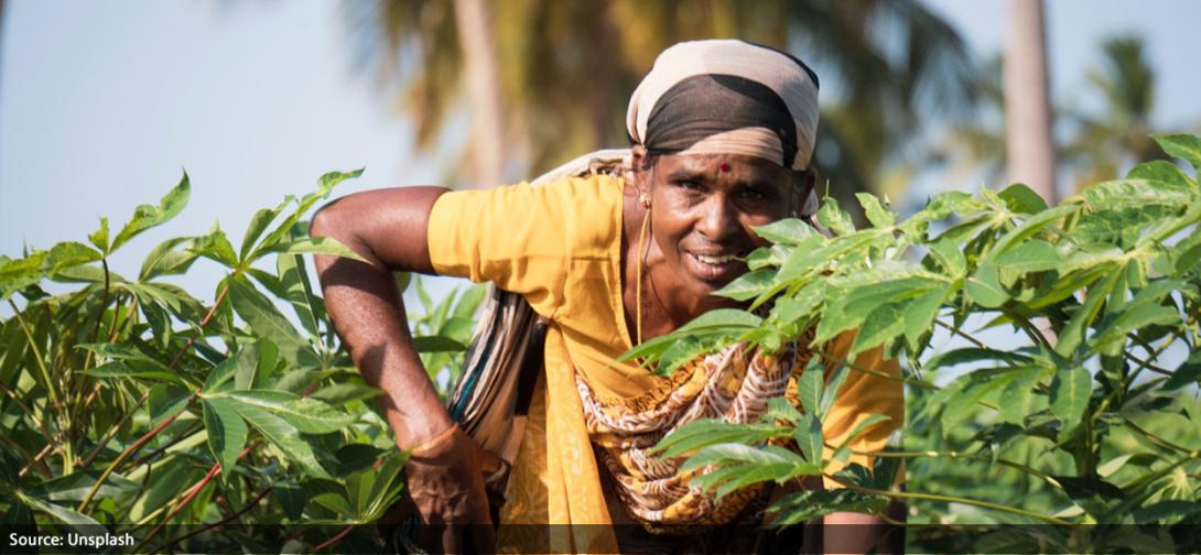 AERA International Conference Focuses on Agribusiness & Climate Resilience