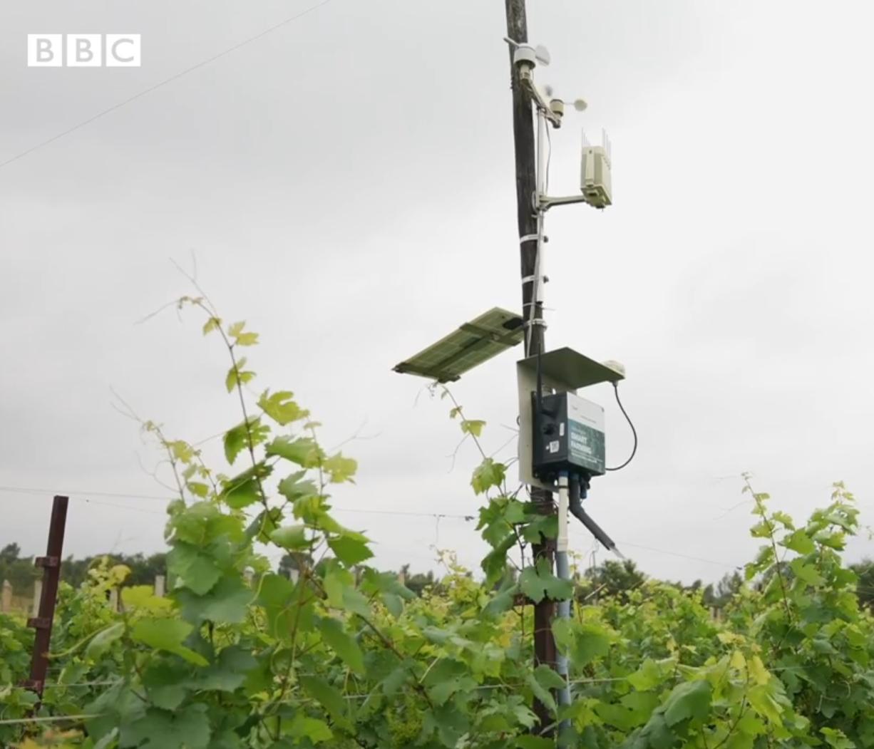 How Fasal’s AI is Building the Smart Orchard of Tomorrow