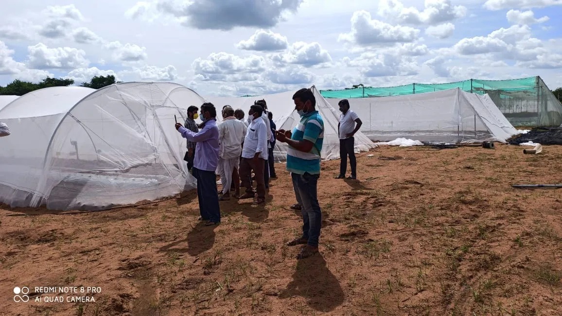 Greenhouse-in-a-Box: Revolutionizing Small-Scale Farming