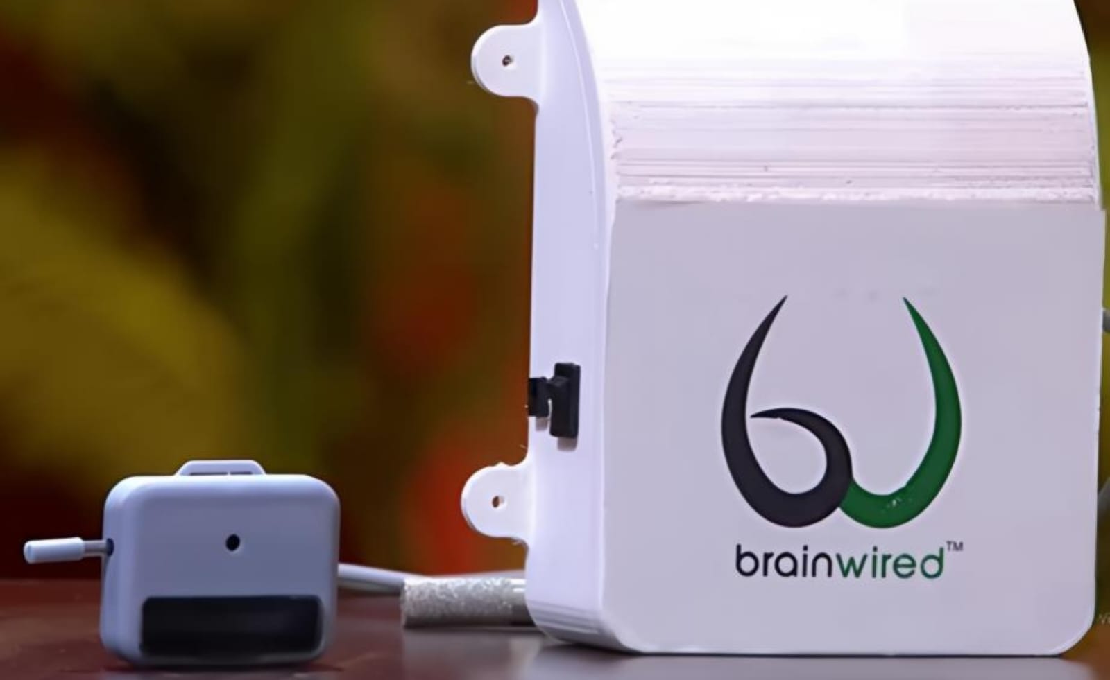 Brainwired WeSTOCK: The Smart Watch Giving a Voice to India's Livestock