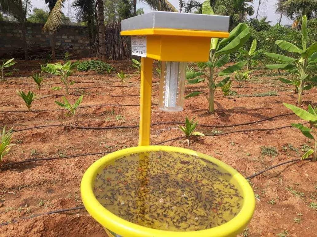 How the Solar Insect Trap is Saving Indian Farmers From Pests