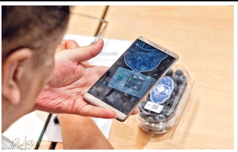 Fighting Fruit Piracy: How QRFiD Tags Protect Smart Agriculture