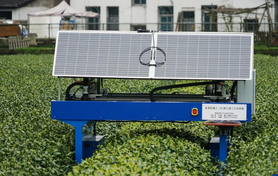 Cyber-Canopies: Inside China’s High-Tech, Robot-Fueled Tea Revolution